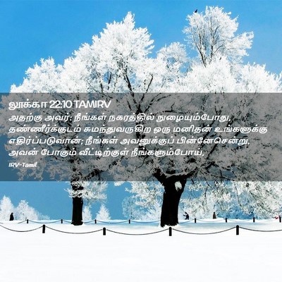 Picture 02 - லூக்கா 22:10 TAMIRV - அதற்கு அவர்: - Bible Verse Picture