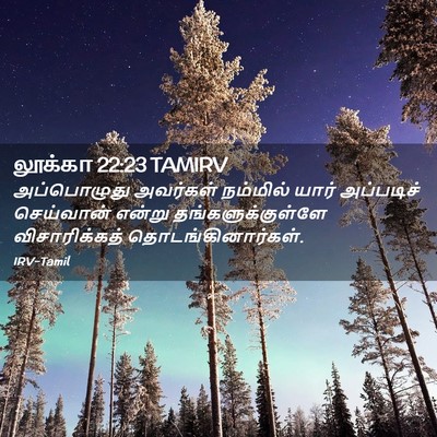 Picture 02 - லூக்கா 22:23 TAMIRV - அப்பொழுது அவர்கள் - Bible Verse Picture