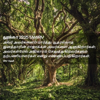 Picture 02 - லூக்கா 22:25 TAMIRV - அவர் அவர்களைப் - Bible Verse Picture