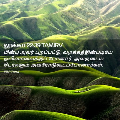 Picture 02 - லூக்கா 22:39 TAMIRV - பின்பு அவர் - Bible Verse Picture