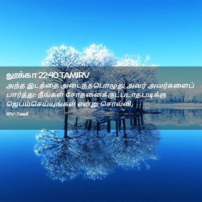 Picture 02 - லூக்கா 22:40 TAMIRV - அந்த இடத்தை - Bible Verse Picture