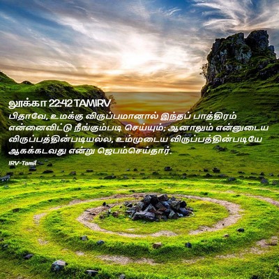 Picture 02 - லூக்கா 22:42 TAMIRV - பிதாவே, உமக்கு - Bible Verse Picture