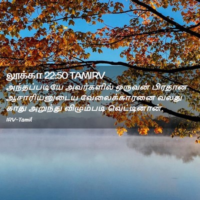 Picture 02 - லூக்கா 22:50 TAMIRV - அந்தப்படியே - Bible Verse Picture