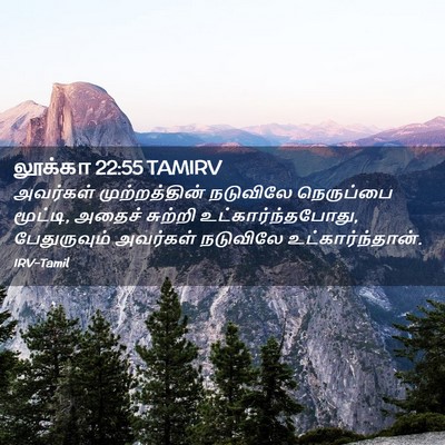 Picture 02 - லூக்கா 22:55 TAMIRV - அவர்கள் - Bible Verse Picture