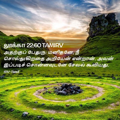 Picture 02 - லூக்கா 22:60 TAMIRV - அதற்குப் பேதுரு: - Bible Verse Picture
