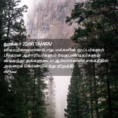 Picture 02 - லூக்கா 22:66 TAMIRV -  - Bible Verse Picture