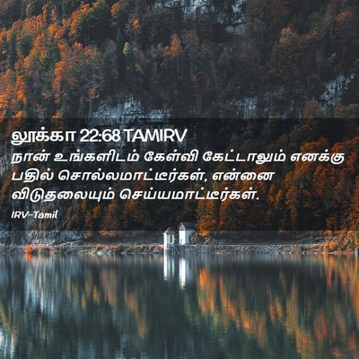 Picture 02 - லூக்கா 22:68 TAMIRV - நான் உங்களிடம் - Bible Verse Picture