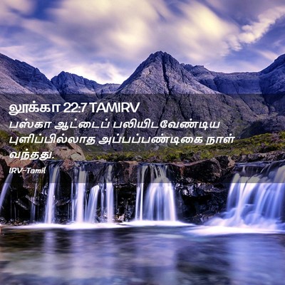 Picture 02 - லூக்கா 22:7 TAMIRV - பஸ்கா ஆட்டைப் - Bible Verse Picture
