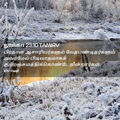 Picture 02 - லூக்கா 23:10 TAMIRV - பிரதான - Bible Verse Picture