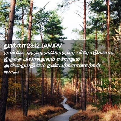 Picture 02 - லூக்கா 23:12 TAMIRV - முன்னே - Bible Verse Picture