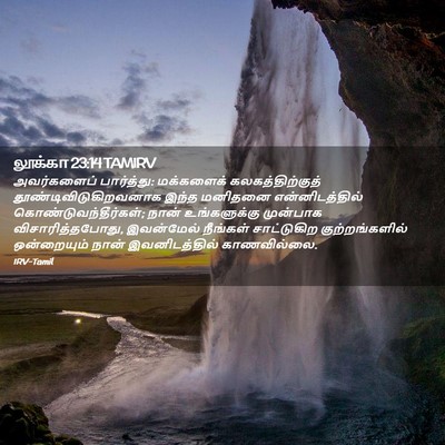 Picture 02 - லூக்கா 23:14 TAMIRV - அவர்களைப் - Bible Verse Picture