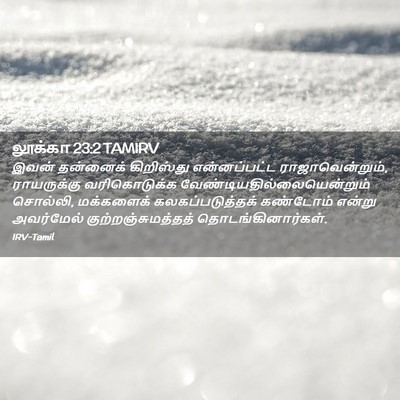 Picture 02 - லூக்கா 23:2 TAMIRV - இவன் தன்னைக் - Bible Verse Picture