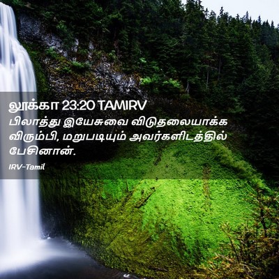 Picture 02 - லூக்கா 23:20 TAMIRV - பிலாத்து இயேசுவை - Bible Verse Picture
