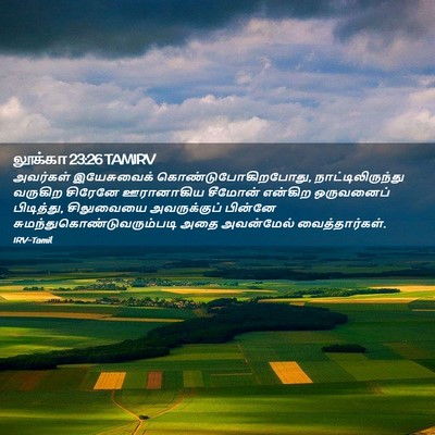Picture 02 - லூக்கா 23:26 TAMIRV - அவர்கள் இயேசுவைக் - Bible Verse Picture