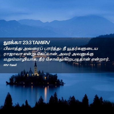 Picture 02 - லூக்கா 23:3 TAMIRV - பிலாத்து அவரைப் - Bible Verse Picture