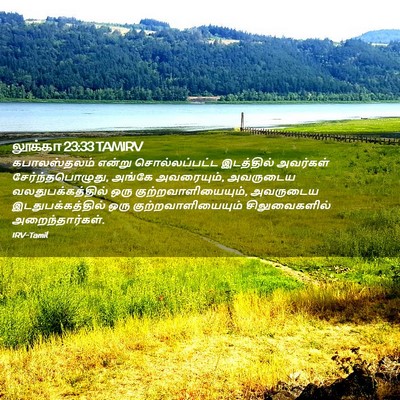 Picture 02 - லூக்கா 23:33 TAMIRV - கபாலஸ்தலம் என்று - Bible Verse Picture