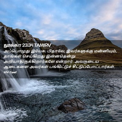 Picture 02 - லூக்கா 23:34 TAMIRV - அப்பொழுது இயேசு: - Bible Verse Picture