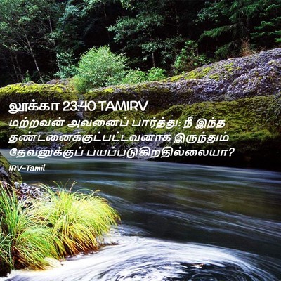 Picture 02 - லூக்கா 23:40 TAMIRV - மற்றவன் அவனைப் - Bible Verse Picture