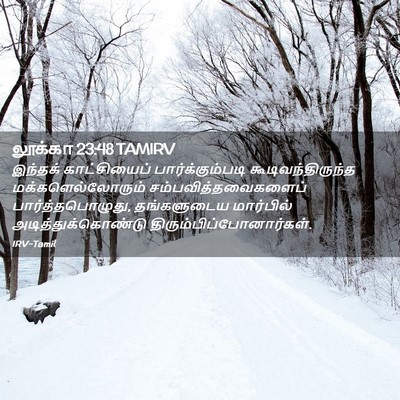 Picture 02 - லூக்கா 23:48 TAMIRV - இந்தக் காட்சியைப் - Bible Verse Picture