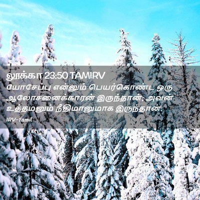 Picture 02 - லூக்கா 23:50 TAMIRV - யோசேப்பு என்னும் - Bible Verse Picture
