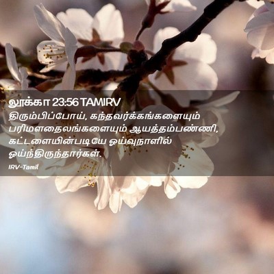 Picture 02 - லூக்கா 23:56 TAMIRV - திரும்பிப்போய், - Bible Verse Picture
