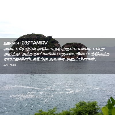Picture 02 - லூக்கா 23:7 TAMIRV - அவர் ஏரோதின் - Bible Verse Picture