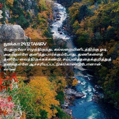 Picture 02 - லூக்கா 24:12 TAMIRV - பேதுருவோ - Bible Verse Picture