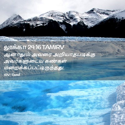 Picture 02 - லூக்கா 24:16 TAMIRV - ஆனாலும் அவரை - Bible Verse Picture