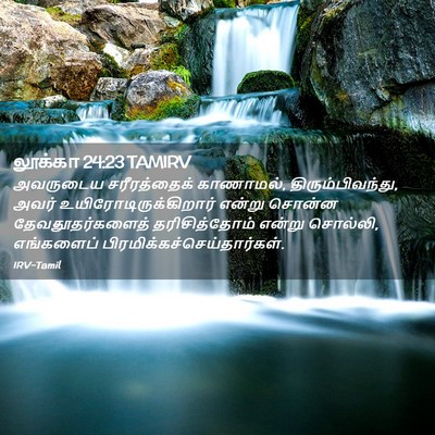 Picture 02 - லூக்கா 24:23 TAMIRV - அவருடைய - Bible Verse Picture