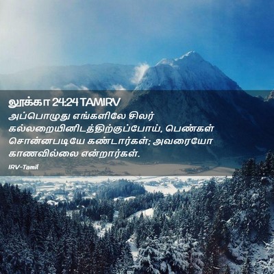 Picture 02 - லூக்கா 24:24 TAMIRV - அப்பொழுது - Bible Verse Picture