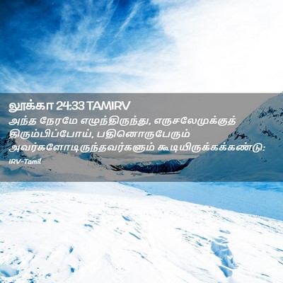 Picture 02 - லூக்கா 24:33 TAMIRV - அந்த நேரமே - Bible Verse Picture