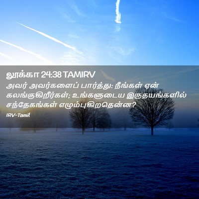 Picture 02 - லூக்கா 24:38 TAMIRV - அவர் அவர்களைப் - Bible Verse Picture