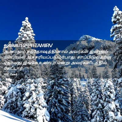 Picture 02 - லூக்கா 24:41 TAMIRV - ஆனாலும் - Bible Verse Picture