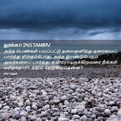 Picture 02 - லூக்கா 24:5 TAMIRV - அந்த பெண்கள் - Bible Verse Picture