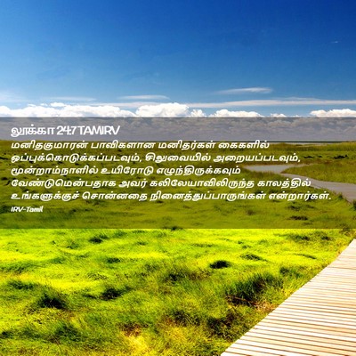 Picture 02 - லூக்கா 24:7 TAMIRV - மனிதகுமாரன் - Bible Verse Picture