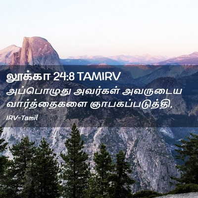 Picture 02 - லூக்கா 24:8 TAMIRV - அப்பொழுது அவர்கள் - Bible Verse Picture