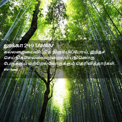 Picture 02 - லூக்கா 24:9 TAMIRV - கல்லறையைவிட்டுத் - Bible Verse Picture