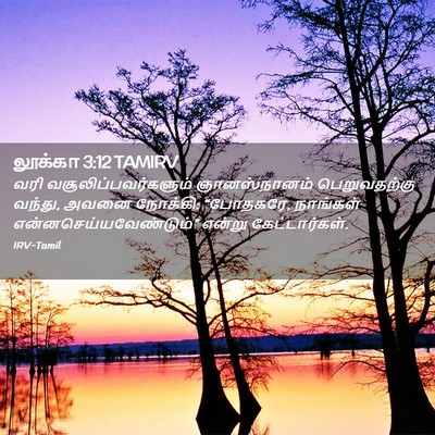 Picture 02 - லூக்கா 3:12 TAMIRV - வரி - Bible Verse Picture