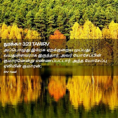 Picture 02 - லூக்கா 3:23 TAMIRV - அப்பொழுது இயேசு - Bible Verse Picture