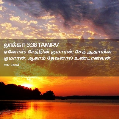 Picture 02 - லூக்கா 3:38 TAMIRV - ஏனோஸ் சேத்தின் - Bible Verse Picture