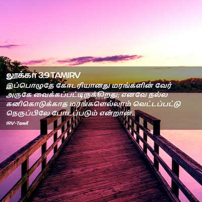 Picture 02 - லூக்கா 3:9 TAMIRV - இப்பொழுதே - Bible Verse Picture