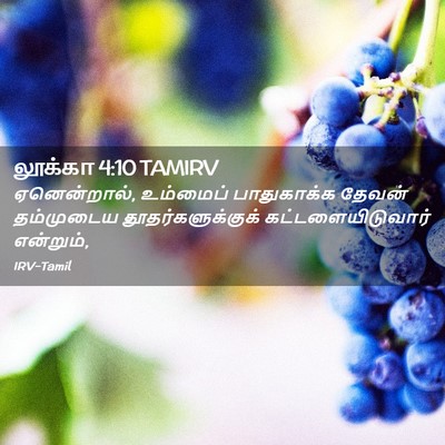 Picture 02 - லூக்கா 4:10 TAMIRV - ஏனென்றால், - Bible Verse Picture