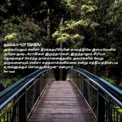 Picture 02 - லூக்கா 4:27 TAMIRV - அல்லாமலும் எலிசா - Bible Verse Picture