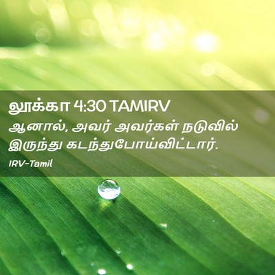 Picture 02 - லூக்கா 4:30 TAMIRV - ஆனால், அவர் - Bible Verse Picture