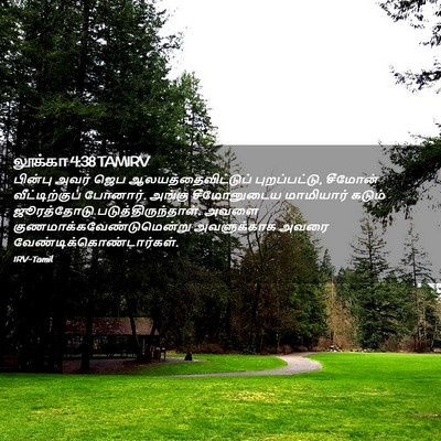 Picture 02 - லூக்கா 4:38 TAMIRV - பின்பு அவர் ஜெப - Bible Verse Picture