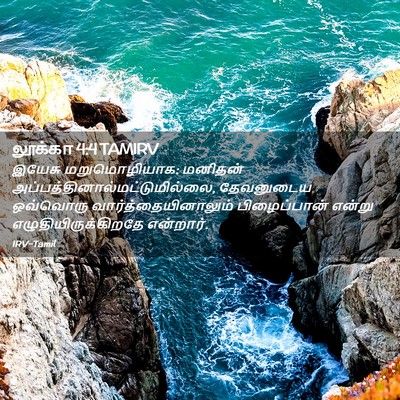 Picture 02 - லூக்கா 4:4 TAMIRV - இயேசு மறுமொழியாக: - Bible Verse Picture