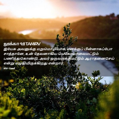 Picture 02 - லூக்கா 4:8 TAMIRV - இயேசு அவனுக்கு - Bible Verse Picture