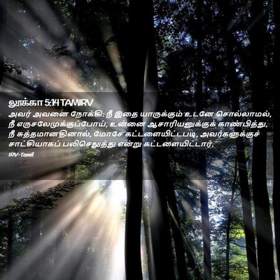 Picture 02 - லூக்கா 5:14 TAMIRV - அவர் அவனை நோக்கி: - Bible Verse Picture