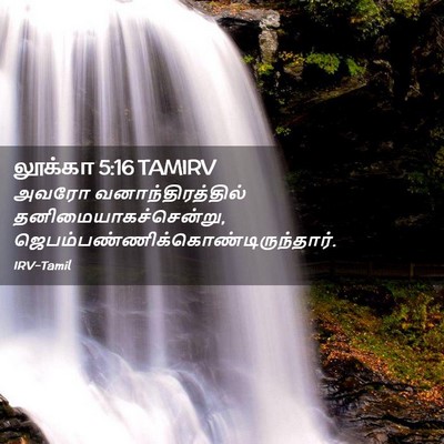Picture 02 - லூக்கா 5:16 TAMIRV - அவரோ - Bible Verse Picture
