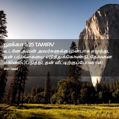 Picture 02 - லூக்கா 5:25 TAMIRV - உடனே அவன் - Bible Verse Picture
